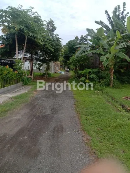 image TANAH 3 MENIT DARI PANTAI LOVINA (3)