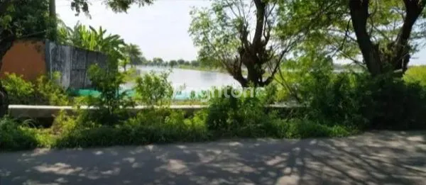 image TANAH TAMBAK DI DAERAH DEKET LAMONGAN  (1)