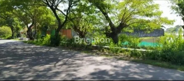 image TANAH TAMBAK DI DAERAH DEKET LAMONGAN  (2)