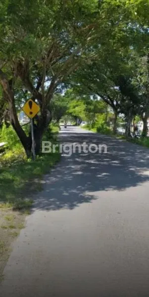 image TANAH TAMBAK DI DAERAH DEKET LAMONGAN  (5)