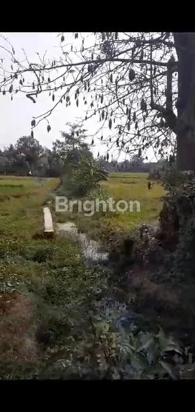 image TANAH UNTUK KOMERSIL (3)