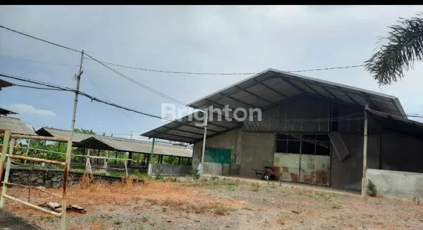 image JUAL TANAH KANDANG SAPI DESA WINDUREJO KECAMATAN KUTOREJO, MOJOKERTO (3)