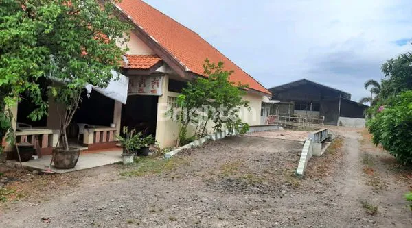 image JUAL TANAH KANDANG SAPI DESA WINDUREJO KECAMATAN KUTOREJO, MOJOKERTO (8)