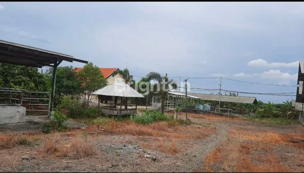 image JUAL TANAH KANDANG SAPI DESA WINDUREJO KECAMATAN KUTOREJO, MOJOKERTO (6)