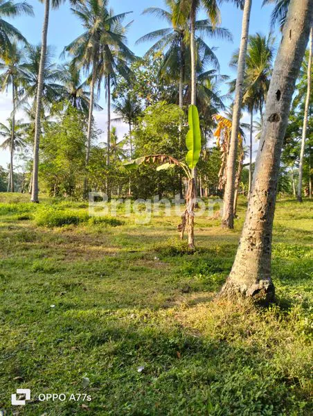 image TANAH DALAM KOTA NEGARA (3)