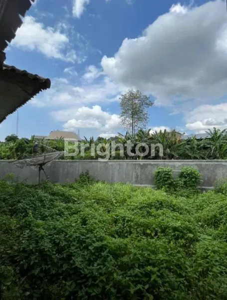 image RUMAH DI JL GUNUNG CATUR DENPASAR BARAT (5)