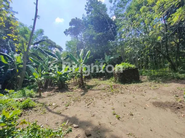 image TANAH PEKARANGAN COCOK UNTUK RUMAH ATAU INVESTASI  (3)