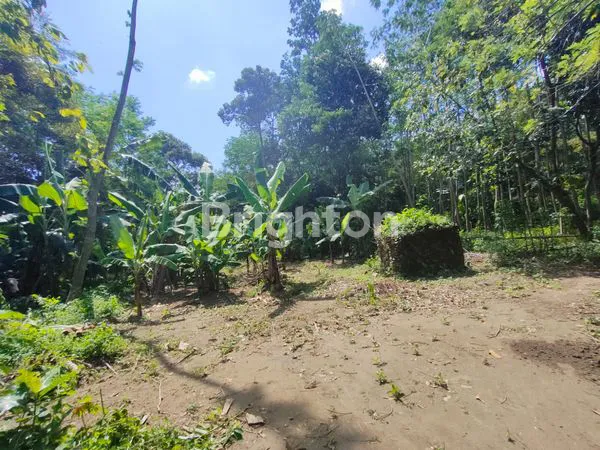 image TANAH PEKARANGAN COCOK UNTUK RUMAH ATAU INVESTASI  (2)