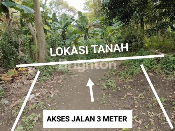 image TANAH PEKARANGAN COCOK UNTUK RUMAH ATAU INVESTASI  (4)
