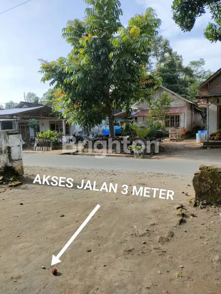 image TANAH PEKARANGAN COCOK UNTUK RUMAH ATAU INVESTASI  (5)