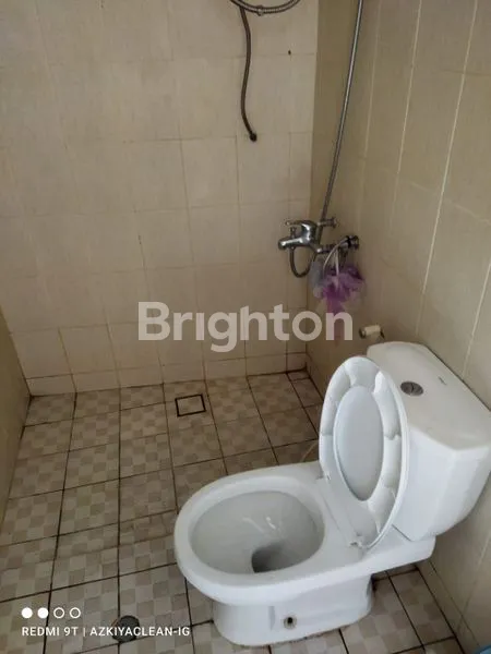 image UC BERKELEY  (3)