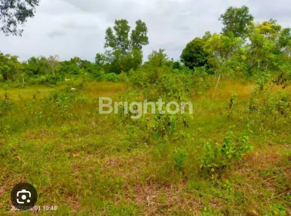 image TANAH LUAS (1)