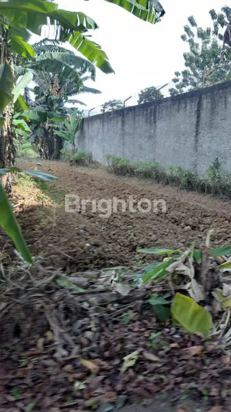 image TANAH SENTUL BOGOR (3)