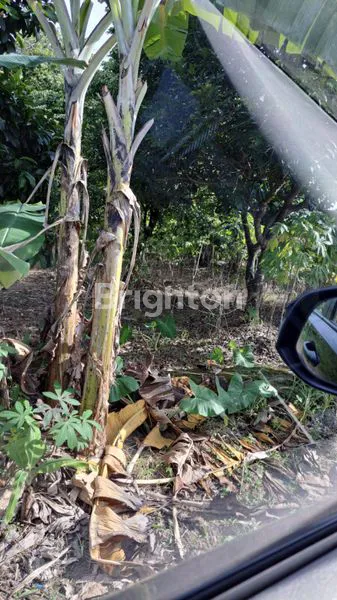 image TANAH SENTUL BOGOR (2)