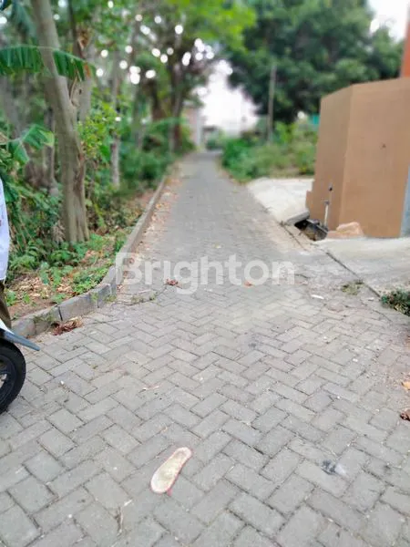 image JANGLI GABENG  (4)