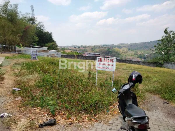 image JANGLI GABENG  (1)