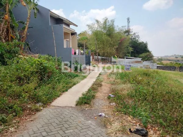 image JANGLI GABENG  (3)