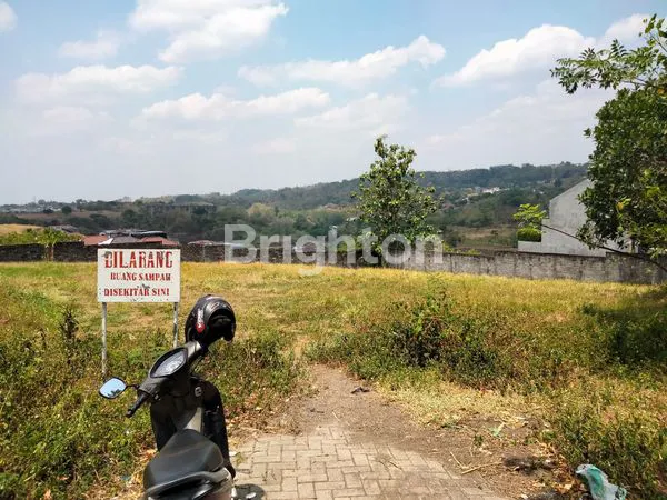 image JANGLI GABENG  (2)