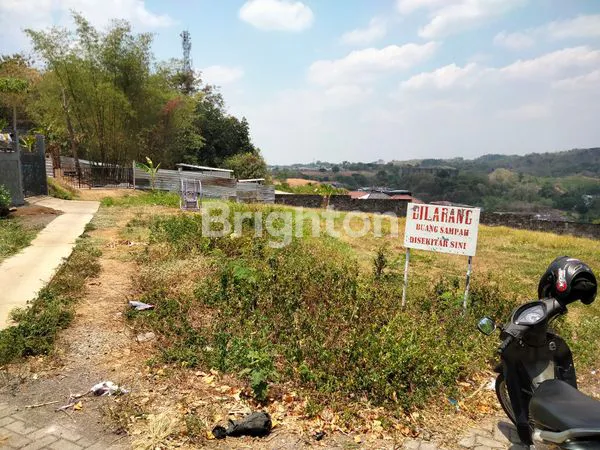 image JANGLI GABENG  (5)