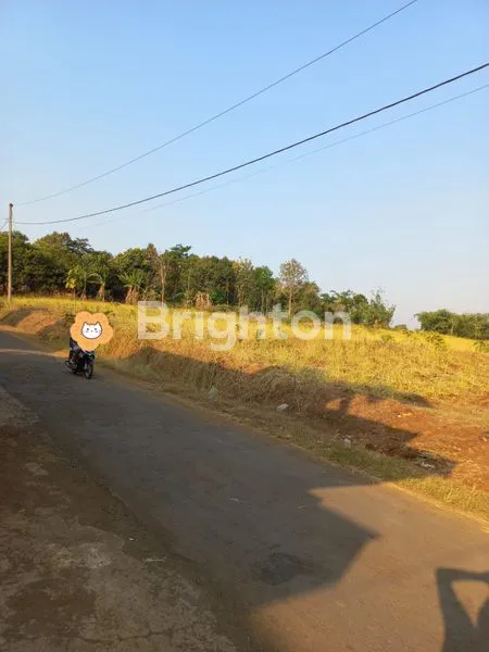 image TANAH LUAS, STRATEGIS DAN MURAH BINGIT DI JEPARA (2)