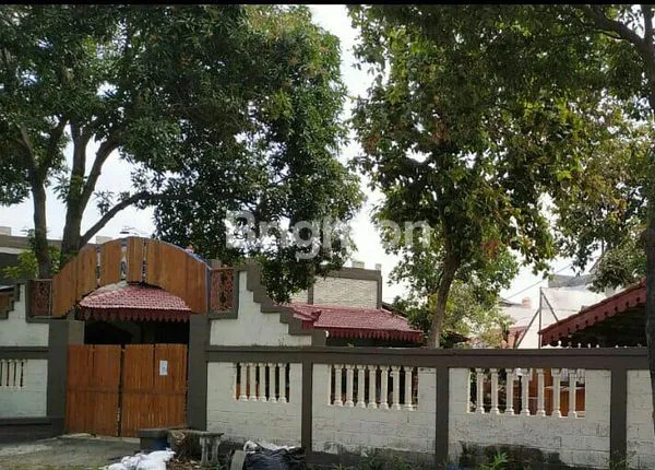 image RUMAH ETHNIC JAWA DI JEMURSARI SURABAYA (1)