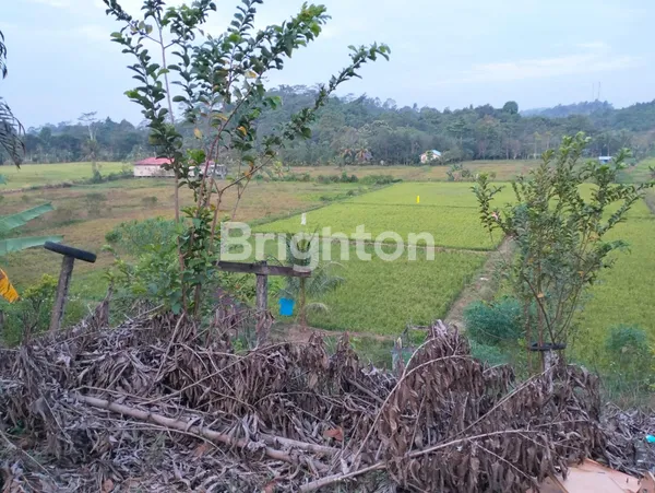 image TANAH LUASAN 8000AN BESERTA BANGUNAN DI ATASNYA JALUR POROS SAMARINDA TENGGARONG  (1)