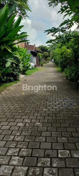 image RUMAH 2 LANTAI DIKAWASAN EXLUSIF YANG TENANG DI DENPASAR TIMUR (4)