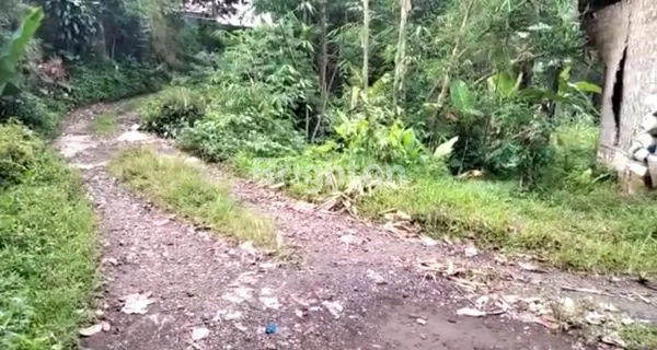 image TANAH DARAT DAERAH CIBADAK, SUKABUMI JAWA BARAT (6)