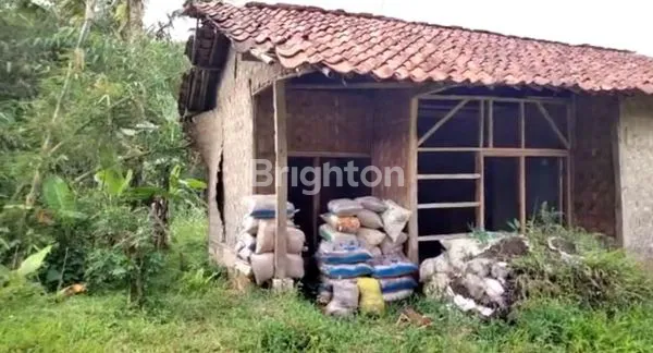 image TANAH DARAT DAERAH CIBADAK, SUKABUMI JAWA BARAT (4)