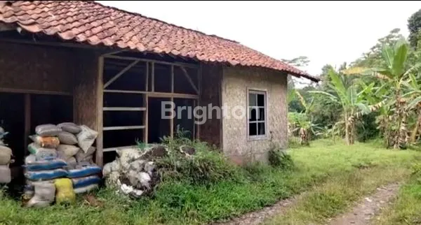 image TANAH DARAT DAERAH CIBADAK, SUKABUMI JAWA BARAT (2)