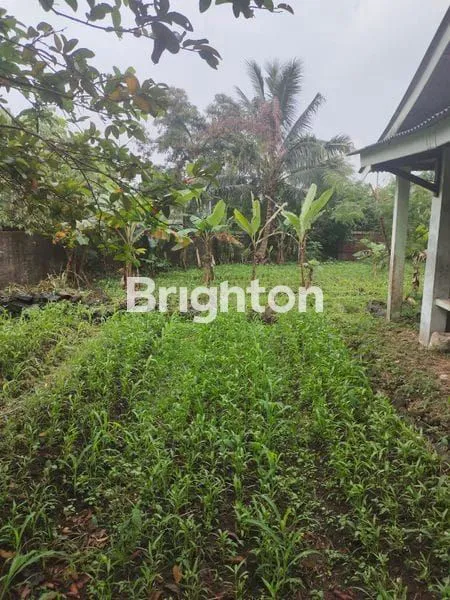 image SEBIDANG TANAH YG STRATEGIS TANGERANG (1)