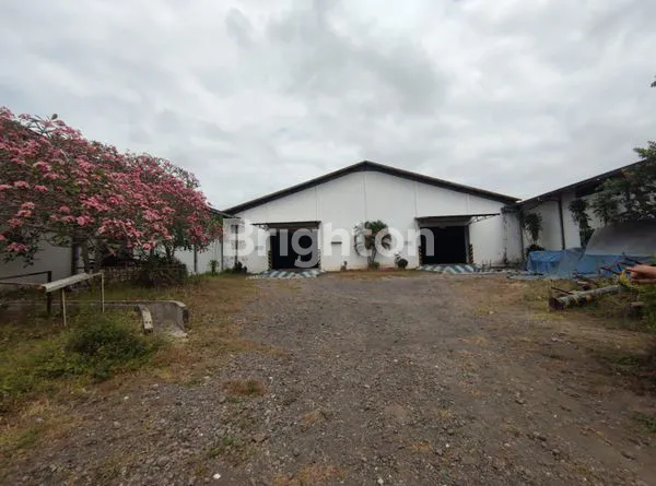 image GUDANG TEMPEH LUMAJANG (7)