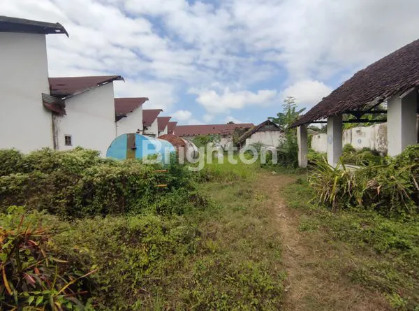 image GUDANG TEMPEH LUMAJANG (6)