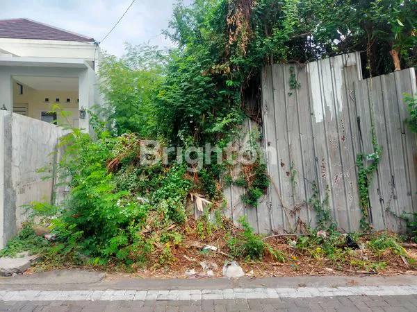 image TANAH KOSONG LOKASI BAGUS DI REJOSARI SEMARANG TIMUR (2)
