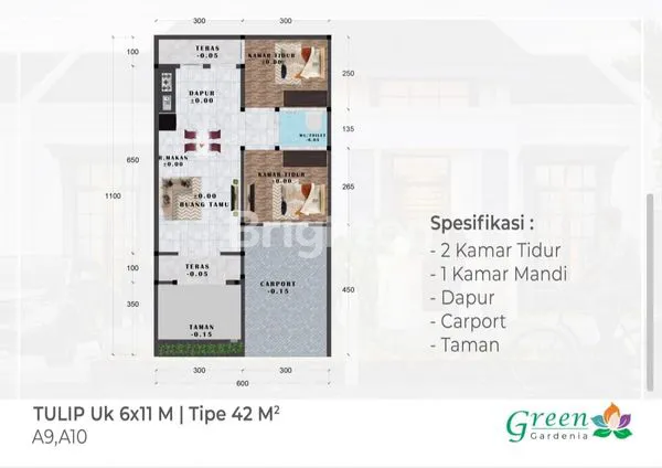 image GREEN GARDENIA (2)