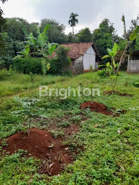 image TANAH MURAH CILEUNGSI BOGOR (1)