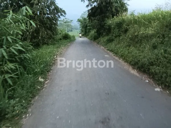 image TANAH DARAT LUAS DI CICURUG SUKABUMI JAWA BARAT (1)