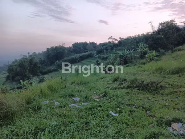 image TANAH DARAT LUAS DI CICURUG SUKABUMI JAWA BARAT (3)