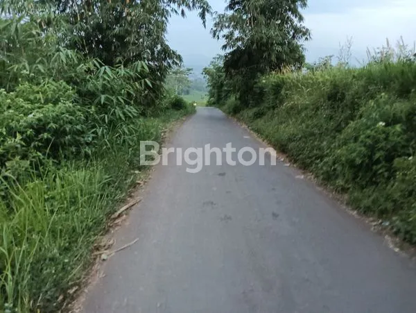 image TANAH DARAT LUAS DI CICURUG SUKABUMI JAWA BARAT (6)