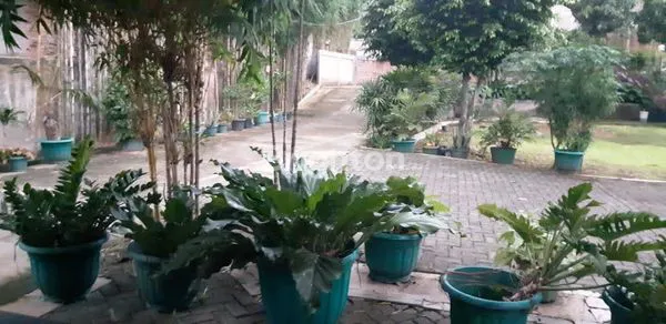 image RUMAH + TANAH LUAS DI JATIPADANG PASAR MINGGU JAKARTA SELATAN (3)