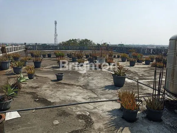 image MAJAPAHIT RUKO 3 LT + ROOFTOP SIAP PAKAI STRATEGIS PINGGIR JALAN RAYA PROVINSI SEMARANG TIMUR (7)