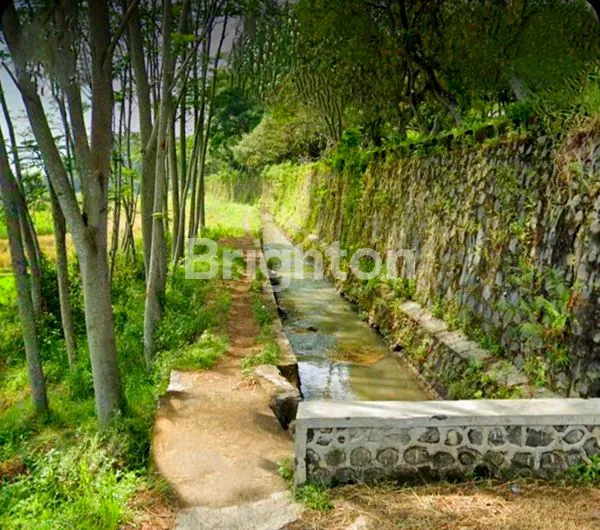 image TANAH STRATEGIS 1158M², SHM, HANYA 500 JUTA DI SEMEN, POHSARANG, KAB KEDIRI (3)