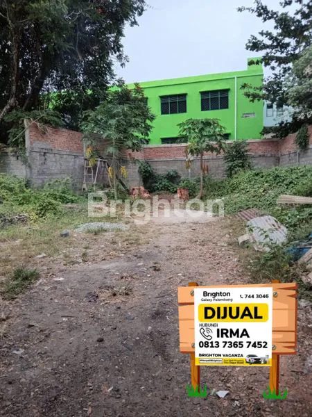 image TANAH TALANG SEMUT (1)