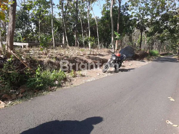 LAHAN 6 HEKTAR DI MOJO