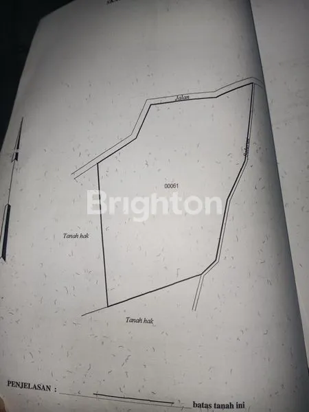 image LAHAN 6 HEKTAR DI MOJO (2)