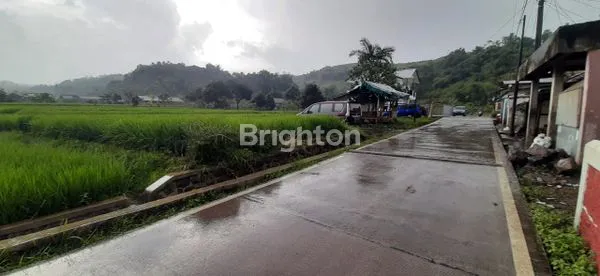 image TANAH DI PUNCAK, CIANJUR, PACET, JAWA TENGAH, LUAS TANAH 3.215, 1,6JT/METER (1)