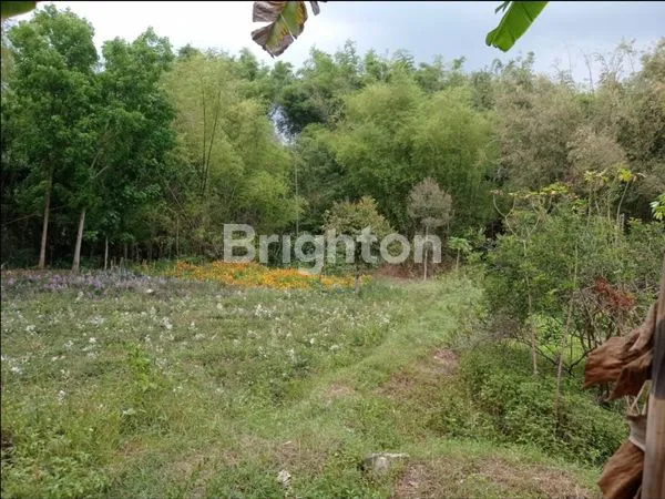 image TANAH DAN RUMAH STRATEGISVIEW CANTIK DI BATU - JAWA TIMUR (5)