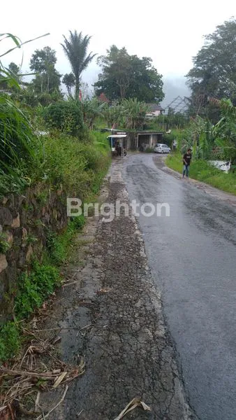 image TANAH DESA CANDIKUNING 4475M2 BATURITI TABANAN (5)