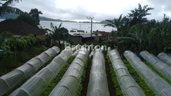 image TANAH DESA CANDIKUNING 4475M2 BATURITI TABANAN (2)