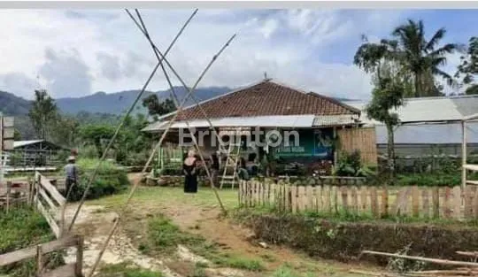 image LAHAN LUAS COCOK UNTUK INVESTASI WANAYASA PURWAKARTA (4)